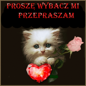 Kotek z różą i sercem przepraszam